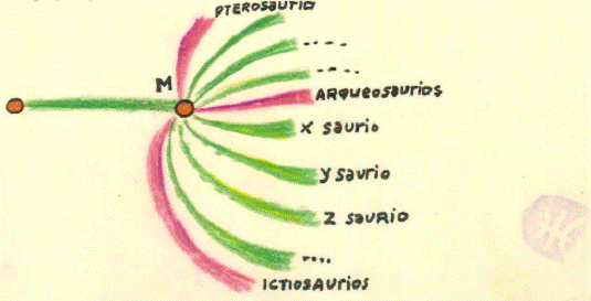 D58-3-C