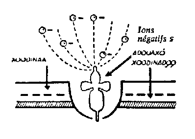 D69-note19-C